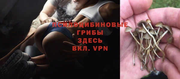 героин Горняк