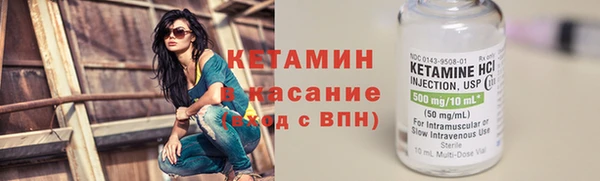 ПСИЛОЦИБИНОВЫЕ ГРИБЫ Горно-Алтайск