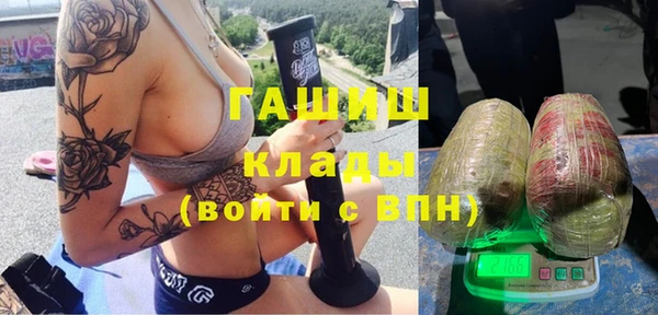ПСИЛОЦИБИНОВЫЕ ГРИБЫ Горно-Алтайск