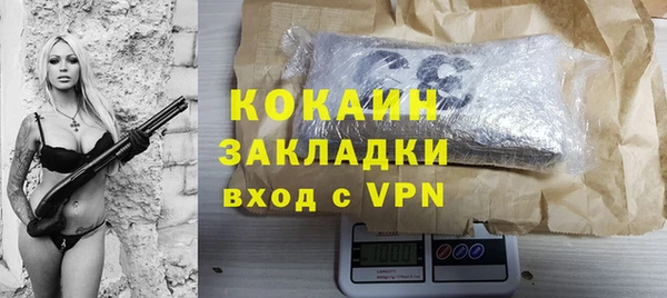 ПСИЛОЦИБИНОВЫЕ ГРИБЫ Горно-Алтайск