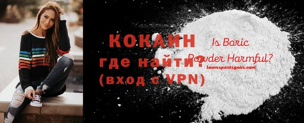 ПСИЛОЦИБИНОВЫЕ ГРИБЫ Горно-Алтайск