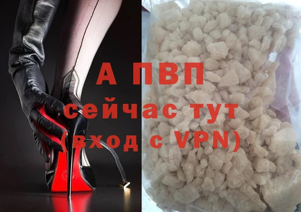 ПСИЛОЦИБИНОВЫЕ ГРИБЫ Горно-Алтайск