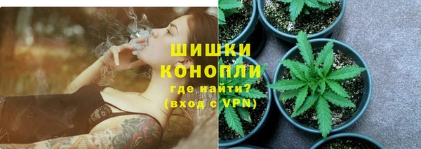 ПСИЛОЦИБИНОВЫЕ ГРИБЫ Горно-Алтайск