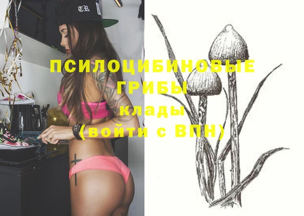 ПСИЛОЦИБИНОВЫЕ ГРИБЫ Горно-Алтайск